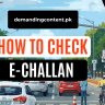How to Check E-Challan on CNIC & DLMIS E-Challan Online